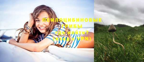 jwh Богородицк