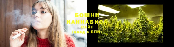 дмт Богданович