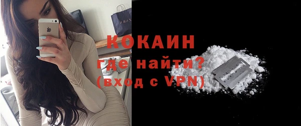 дмт Богданович