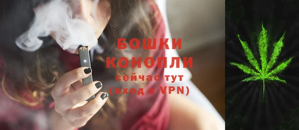 таблы Бородино