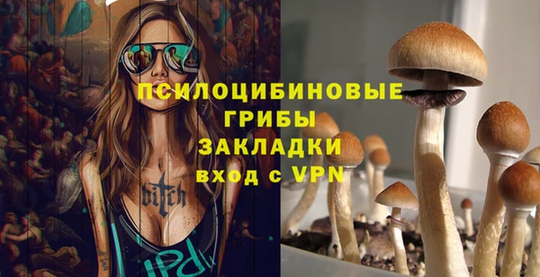дмт Богданович