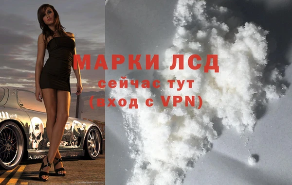 дмт Богданович
