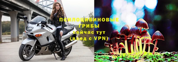 MDMA Богородск
