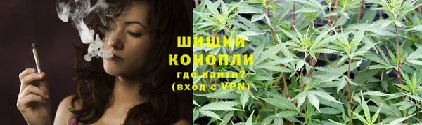 таблы Бородино